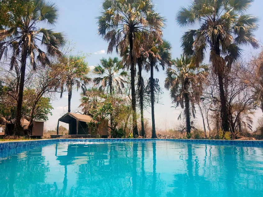 Lodge Swimming Pool